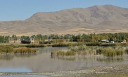 Van'da sulak alanlar için hayati çağrı