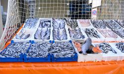Van’da balığa ilgi arttı! İşte güncel fiyatlar…