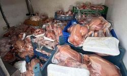 Van'da raporsuz tavuklar ele geçirildi