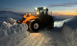 Van'ın 6 ilçesinde kar yağışı etkili oldu