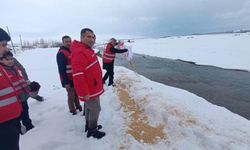 Van’da yaban hayvanları unutulmadı