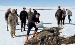 Van'da doğaya yem bırakıldı