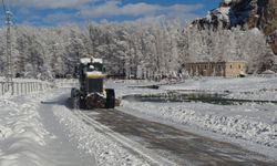 Van’da 230 yerleşim yolu açıldı, 160 yol kapalı