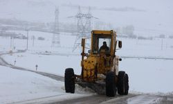 Van'da 76 yerleşim yerinin yolu kapalı
