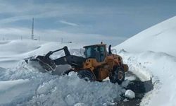 Hakkari'de tüm köy yolları ulaşıma açıldı