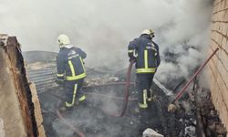 Van'da ahır ve odunluk yangını