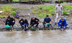 Altın avcıları derede altın aradı