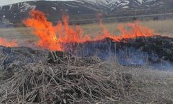 Van'ın Gevaş ilçesinde anız yangını