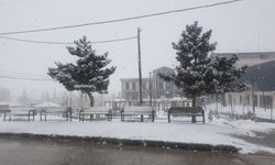 Başkale'de kar yağışı