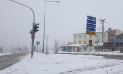 Başkale'de kar yağışı