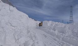 Başkale’de kar yağışı