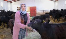 Van'da kadın çiftçi 5 ayda hayvan sayısını ikiye katladı