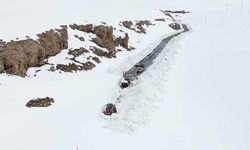 Van-Bahçesaray kara yolunda karla mücadele çalışmaları sürüyor