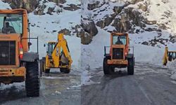 Çığın düştüğü Şırnak-Hakkari yolu ulaşıma açıldı