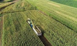 Kırsalda kalkınma 65,5 milyar liralık yatırımla desteklenecek