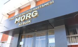 Yeğenlerinin darp ettiği yaşlı adam yaşamını yitirdi