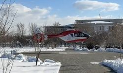 37 haftalık gebe helikopter ambulansla Van'a sevk edildi