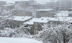 Hakkari’de kar yağışı hayatı olumsuz etkiliyor