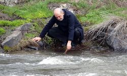 İnci kefali göçünün en çok izlendiği Deliçay'da su seviyesi yükseldi
