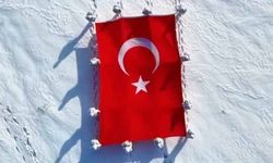 Van'da jandarma personelinden anlamlı yürüyüş