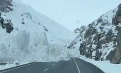 Van-Hakkari karayoluna çığ düştü