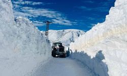 Hakkari'de kapanan tüm köy ve mezra yolları yeniden açıldı