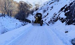 Van’da 20 yerleşim yeri yolu ulaşıma kapalı