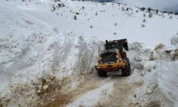 Hakkari’de tüm köy ve mezra yolları ulaşıma açıldı