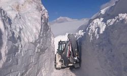 Van'da 3 metreyi bulan kar tünellerinde çalışma