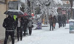 Van'da baharı beklerken kar kapıya dayandı