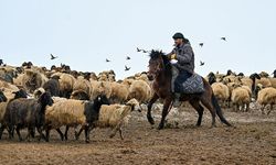 Van'ın kırsal mahallelerinde karla mücadele sürüyor