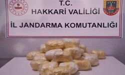 Hakkari'de tırda 15 kilo 263 gram metamfetamin ele geçirildi