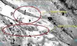 Van ve Hakkari'de büyük operasyon!