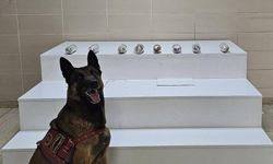 Van’da uyuşturucu madde ele geçirildi