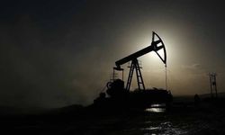 Petrol hakkına müteallik karar