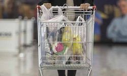 Plastik poşet uygulamasıyla 2,8 milyon ton atığın oluşumu engellendi
