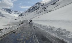 Türkiye'de kar rekoru Van'da kırıldı