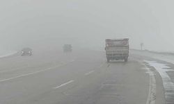 Van'da sis ve kar yağışı yüksek kesimlerde etkiliyor