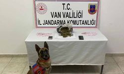 Van’da 1 kilo 64 gram skunk maddesi ele geçirildi