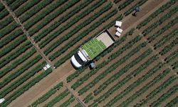Tarımsal girdi fiyat endeksi arttı