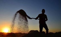 Çiftçilere yaklaşık tarımsal destekleme ödemesi bugün yapılacak