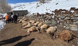 Van'da ahırda feci yangın!