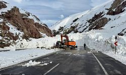 Baharı beklerken Van’da çok sayıda yol ulaşıma kapandı!