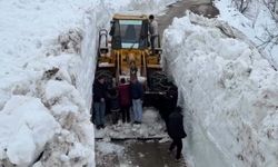 Bahçesaray'da bir yola daha çığ düştü