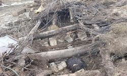 Van'da ahır çöktü: 20 küçükbaş hayvan göçük altında kaldı