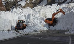 Van-Hakkari yolunda çığ çalışmaları sürüyor
