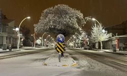 Van’da kar yağışı gece başlayacak!