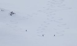 Van'ın karlı dağları macera tutkunu yabancı kayakçıları ağırladı