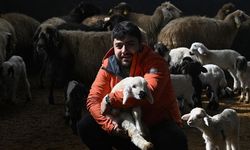 Van'da o proje can suyu oldu: Üniversiteli gencin hedefi büyük