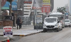 Van'da mart ayının sonunda kar yağışı